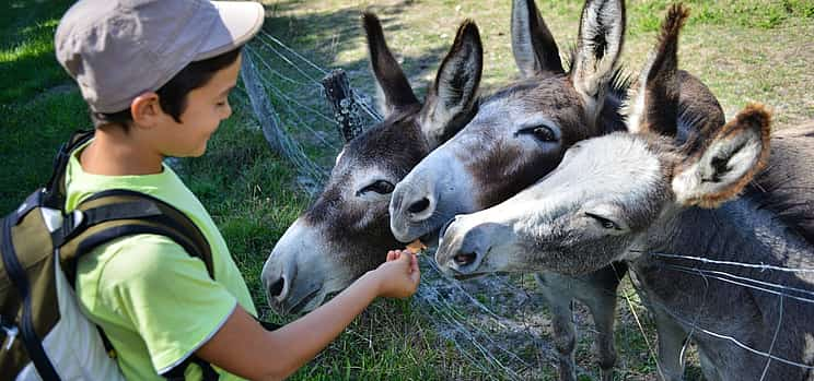 Photo 1 Experience Corfu’s Charms on a Full-day Family Adventure