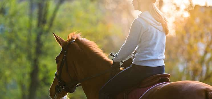 Photo 1 Horseback Riding Experience