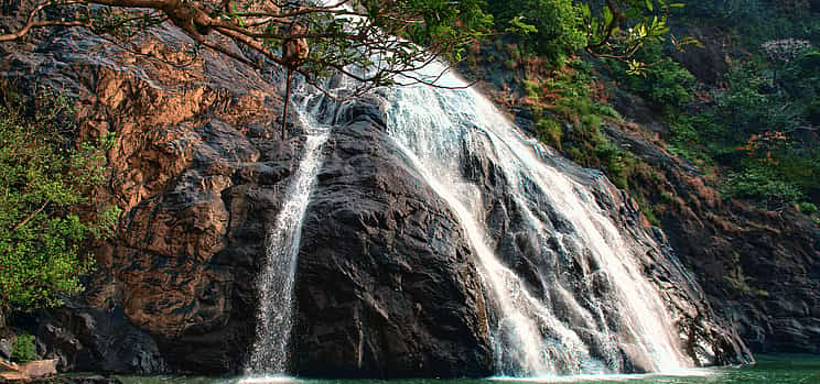 Foto 1 Excursión a las cataratas de Dudhsagar