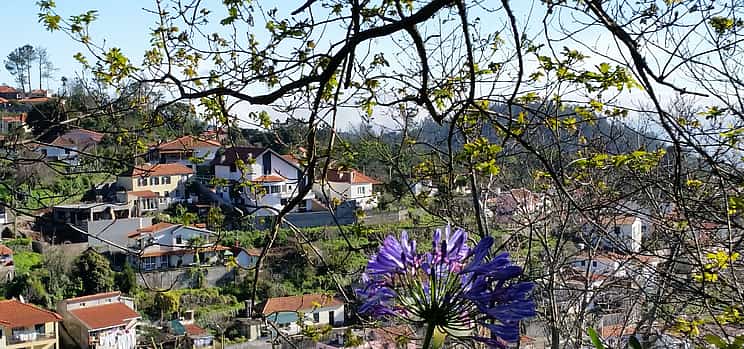 Fotoğraf 1 Paradise Valley Half-day Walking Tour