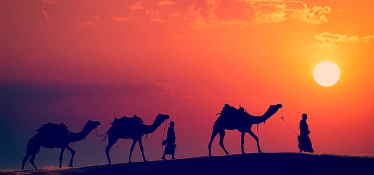 Photo 1 Agafay Desert Dinner and Camel Ride