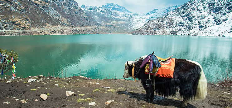 Foto 1 Ruta Darjeeling-Sikkim de 8 días