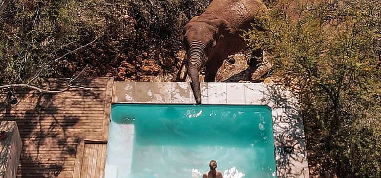 Photo 1 Private Safari Getaway to the Luxurious Tented Camp and Spa