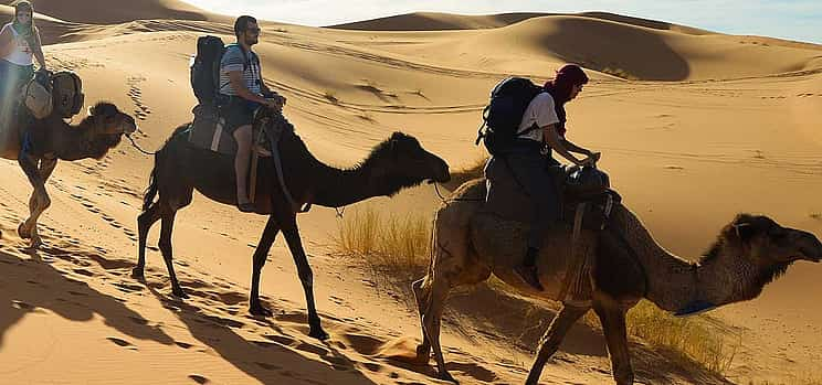 Photo 1 Agadir Camel Riding with Barbecue Dinner