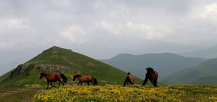 Foto 1 Excursión de 2 días a caballo por los prados alpinos de Armenia