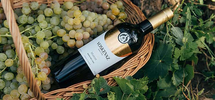 Fotografija 1 Premium Tour to the Voskevaz Winery