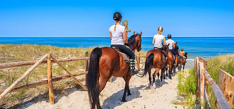 Photo 1 Horses in the Sand Tour
