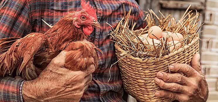 Photo 1 Private Agricaltural Tour: a  Day at the Corfu Farm