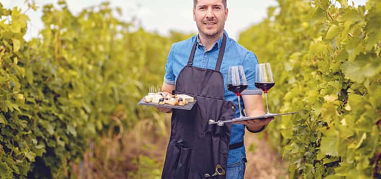 Photo 1 Exclusive Bolgheri from Florence: The Land of the Super Tuscan