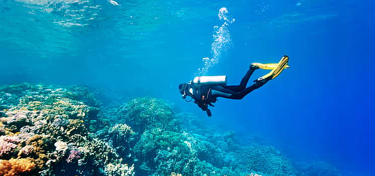 Photo 1 Diving Experience in Antalya