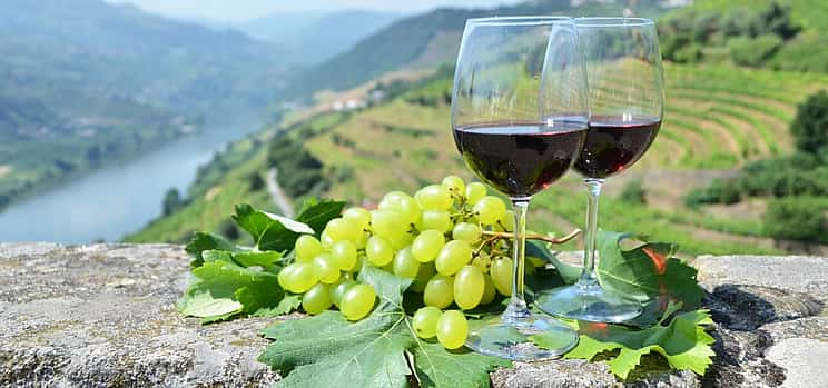 Foto 1 Excursión en grupo reducido por el valle del Duero con paseo en barco y cata de vinos de viñedos