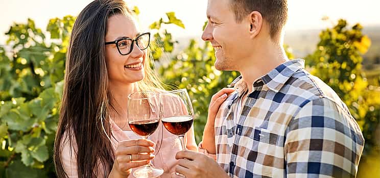 Fotografie 1 Cape Town Based Private Full-Day Winelands Tour to Paarl