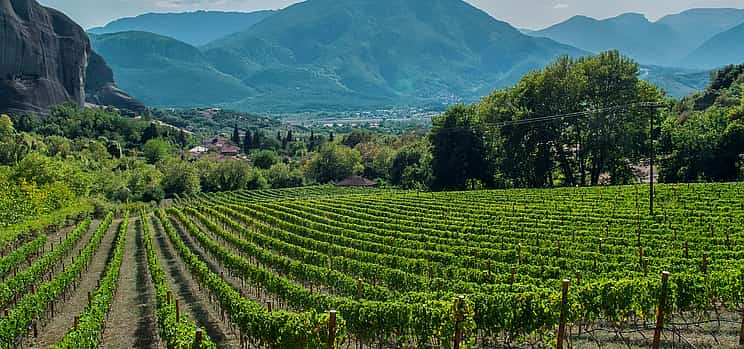 Foto 1 Excursión privada de un día por las Rutas del Vino: Corinto, la antigua Nemea y visita opcional a una bodega