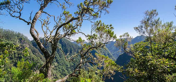 Photo 1 Ribeiro Frio, Portela Full-day Walking Tour