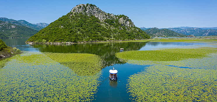 Foto 1 Observación de aves en barco Lago Skadar