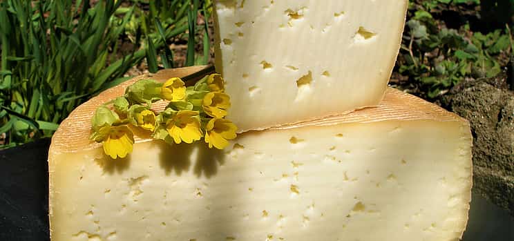 Photo 1 Private Tour to Mikaelyan Family Cheese Factory, Lake Sevan and Dilijan