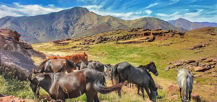 Photo 1 Horse Riding in Atlas Mountains