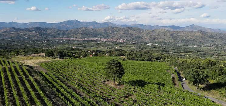 Photo 1 Sicily Wine Tasting Tour