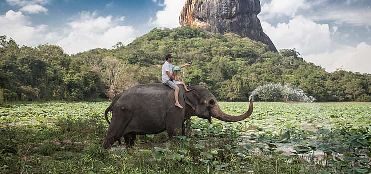 Photo 1 Private Elephant and Jeep Safari to Ancient Temples and Herbal Garden