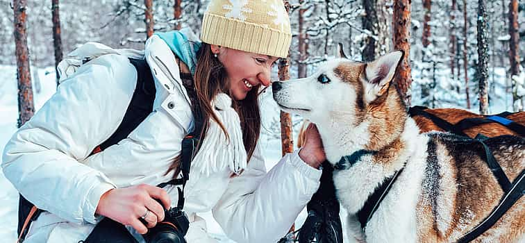 Foto 1 Safari de 30 minutos con huskies y visita a una granja en la zona de Pyha y Luosto