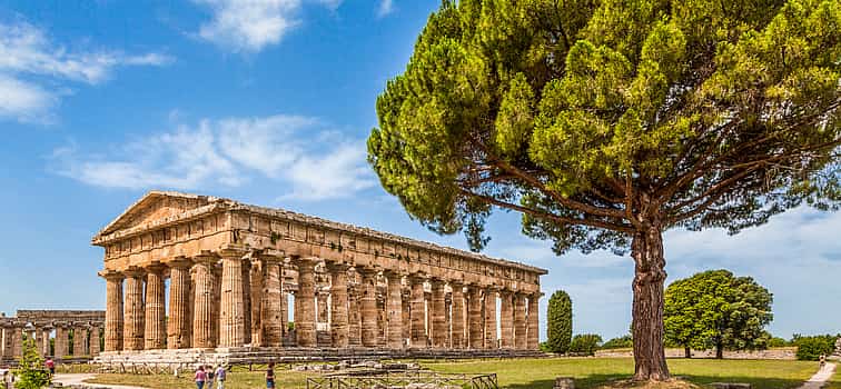 Photo 1 Private Tour to Paestum and Buffalo Farm from Sorrento
