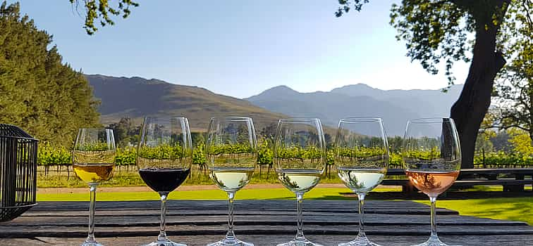 Photo 1 Cape Town Winelands Private Tour