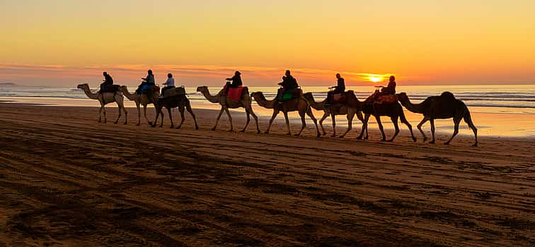 Photo 1 Barbecue Camel Ride in Agadir