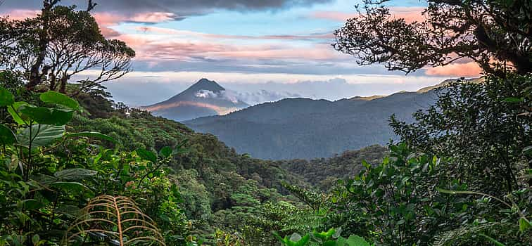 Photo 1 Tour to the Cloud Forest of Monteverde