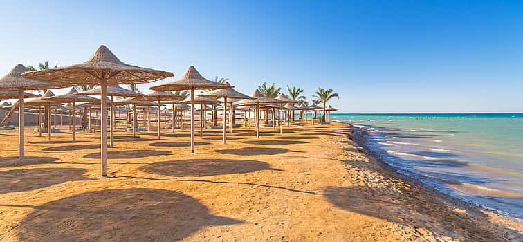 Photo 1 Full-day Private Tour to Red Sea from Cairo