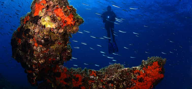 Foto 1 Descubre el buceo desde Kusadasi / Selcuk