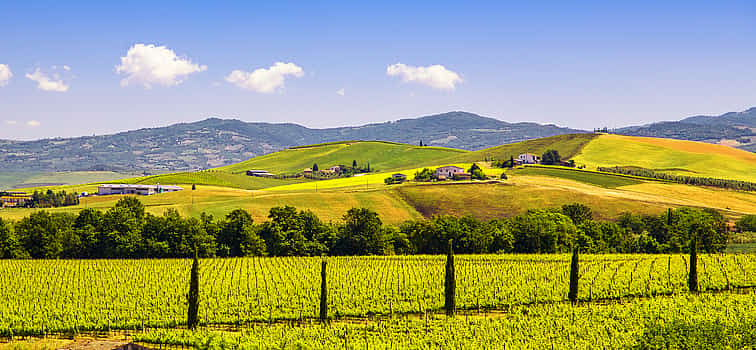 Photo 1 Montepulciano, Montalcino and Siena Private Full-day Tour