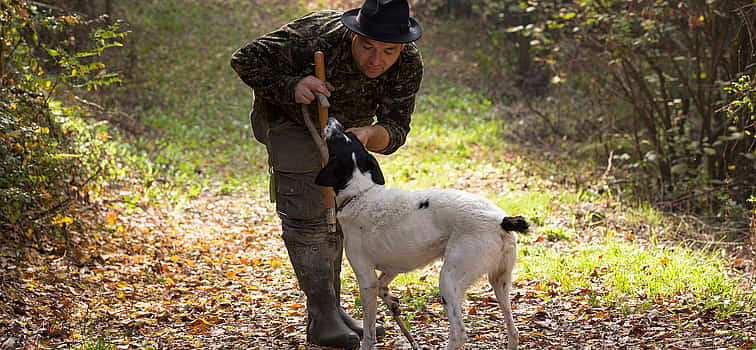 Photo 1 Truffle Hunting Tour