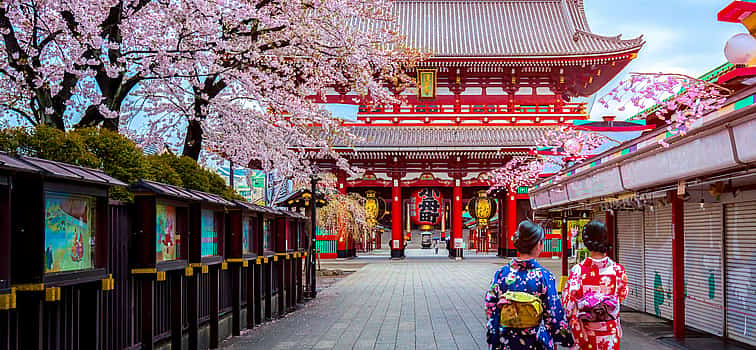 Foto 1 Ganztägige private Stadtrundfahrt durch Tokio