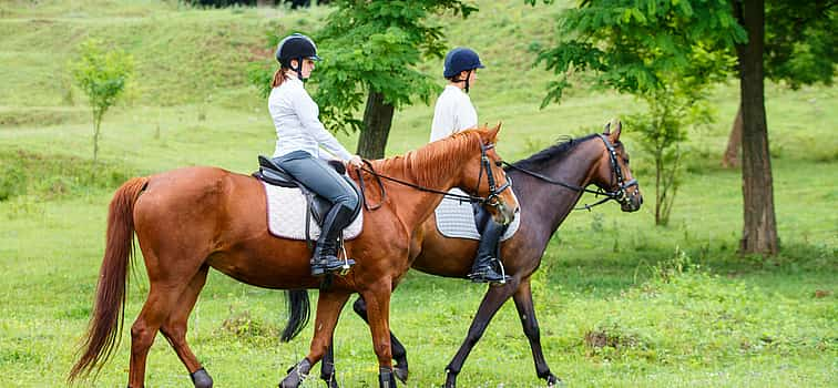 Photo 1 Horse Riding Madeira Tour for Beginners