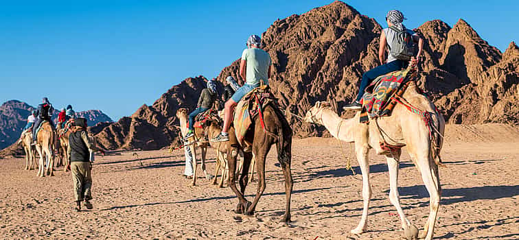 Photo 1 Camel Safari and Quad Bike Ride