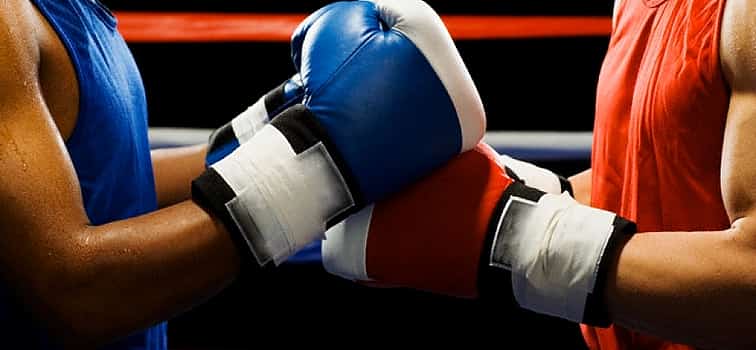 Photo 1 Private Boxing Lesson