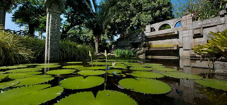 Photo 1 Sitio Roberto Burle Marx Guided Tour