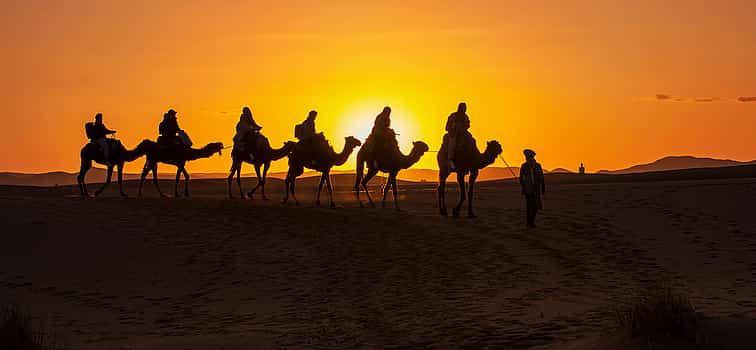 Photo 1 Private Afternoon Desert Safari with Camel Ride and Sandboarding