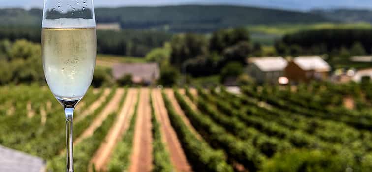 Fotoğraf 1 Exclusive Champagne and Chocolate Experience