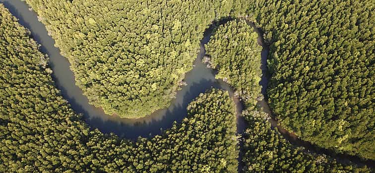 Foto 1 Crucero privado en barco por el Manglar Ecológico