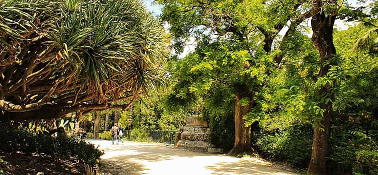 Photo 1 Principe Real and Botanico Gardens Private Tour