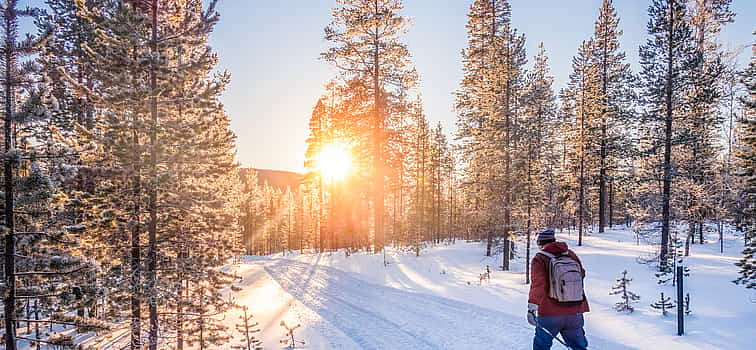 Photo 1 Ski Trekking Safari in Lapland