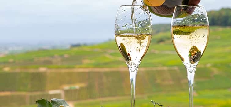 Photo 1 Champagne Discovery Small Group Trip from Paris