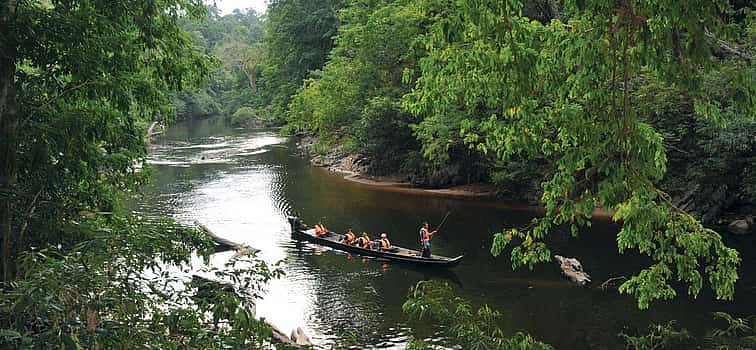 Foto 1 Excursión a Taman Negara