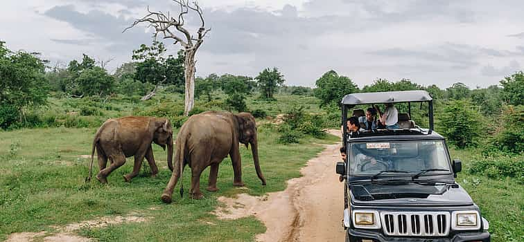 Foto 1 Excursión privada a Udawalawa con recogida en los complejos turísticos