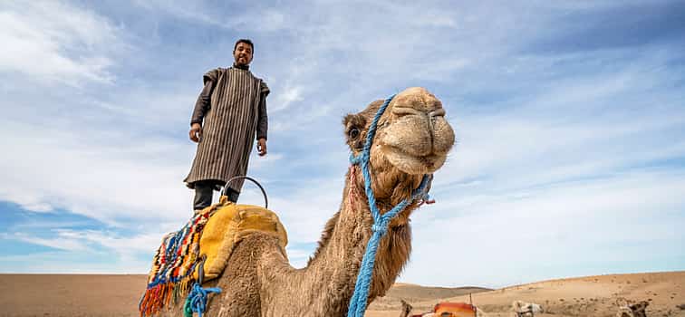 Photo 1 Full-day Trip to Atlas Mountains and Agafay Desert from Marrakesh