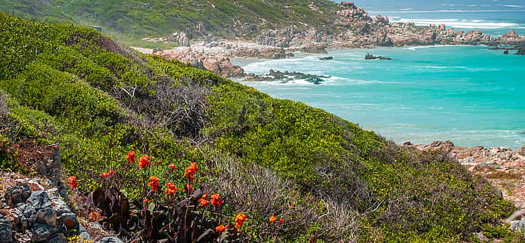 Photo 1 Hermanus Beach Hike and Off-road Experience