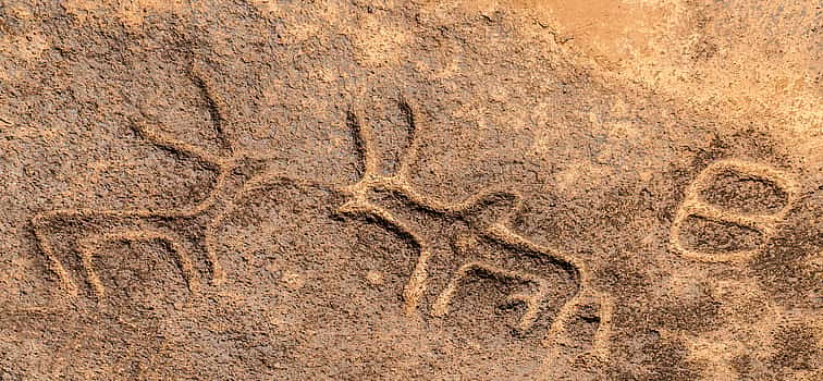 Photo 1 Ancient Rock Art Tour in Goa