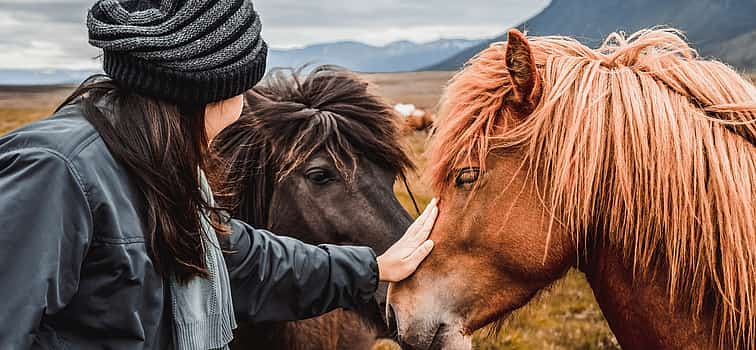 Photo 1 2-hour Horse Riding Tour from Mývatn