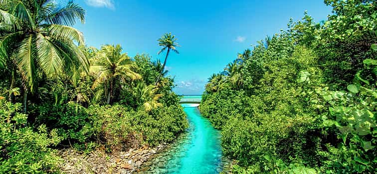 Foto 1 Ein Einblick in den Meeresschutz auf den Malediven